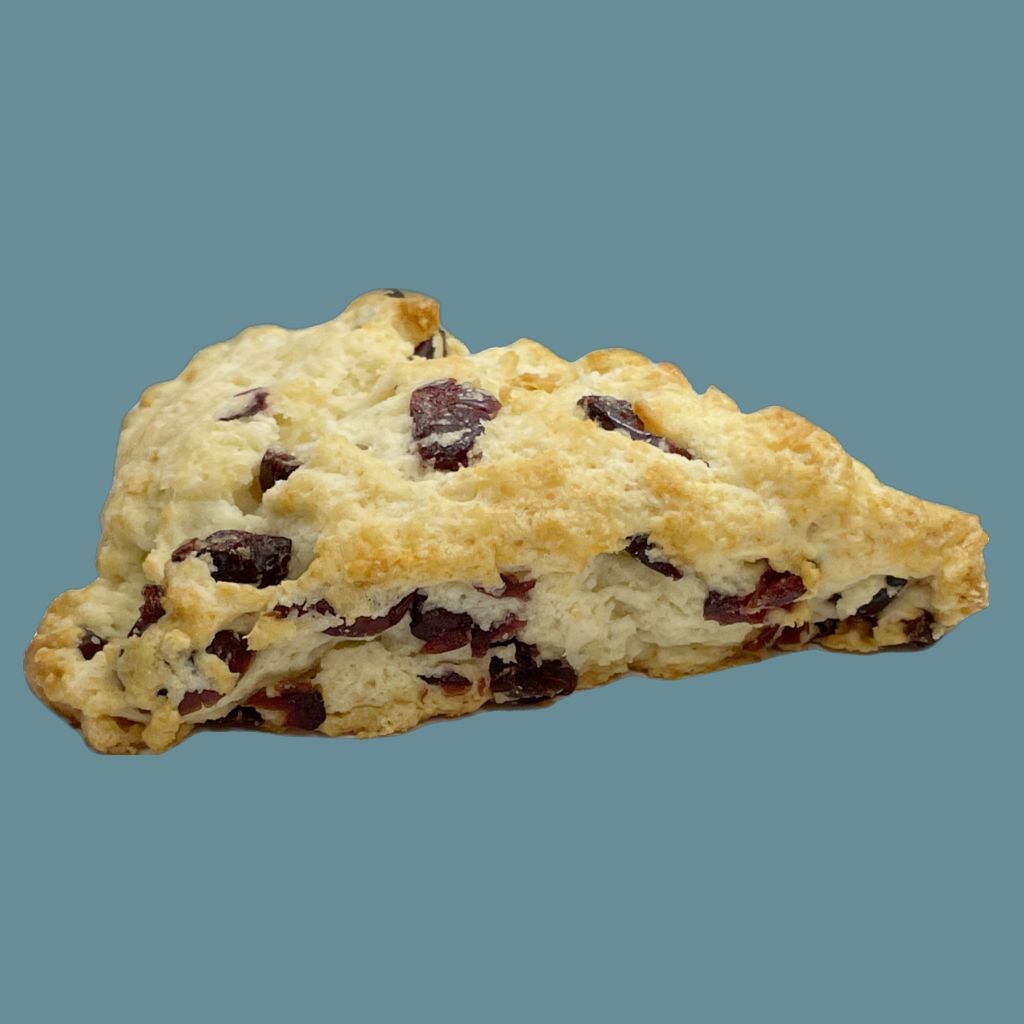 A cranberry scone on teal background | tea + munchies