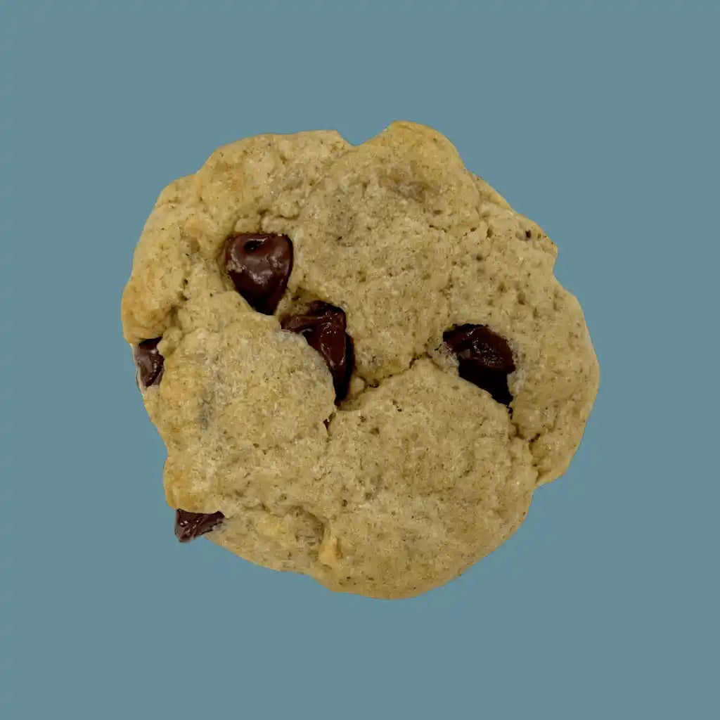 Vegan chocolate chip cookie on teal background | tea + munchies